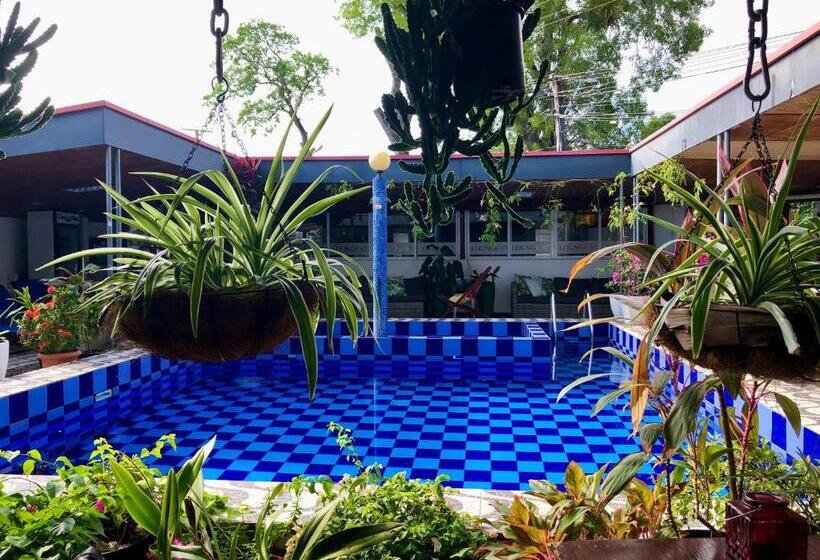 اتاق خانوادگی, Holland Lodge Paramaribo