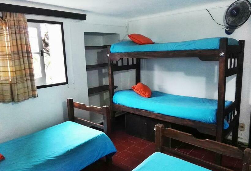 Четырехместный Номер Стандарт, Planet Punta Del Este Hostel