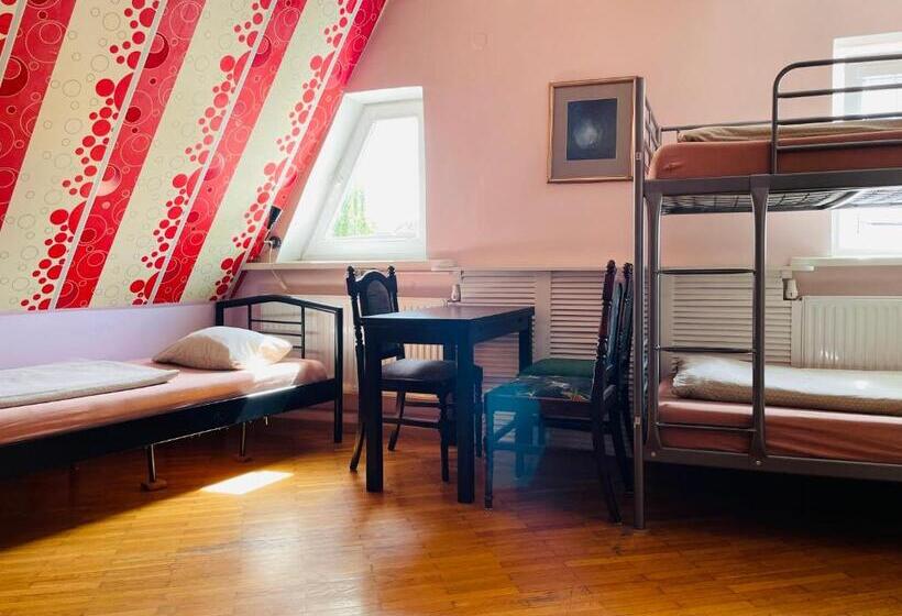 ルームシェアのワンベッド, Mikalo House
