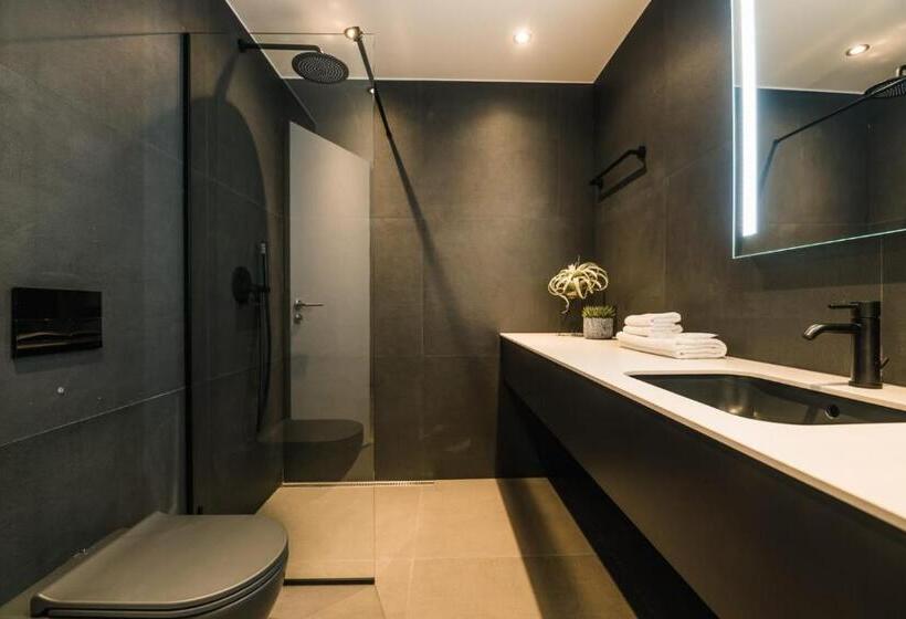 اتاق استاندارد با تخت بزرگ, Maestro Design