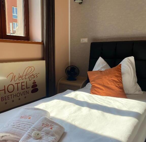 标准间, Wellness Hotel Beethoven