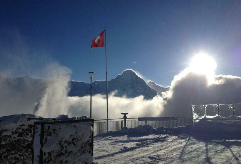 اتاق استاندارد با چشم‌انداز کوهستان, Berggasthaus First   Only Accessible By Cable Car