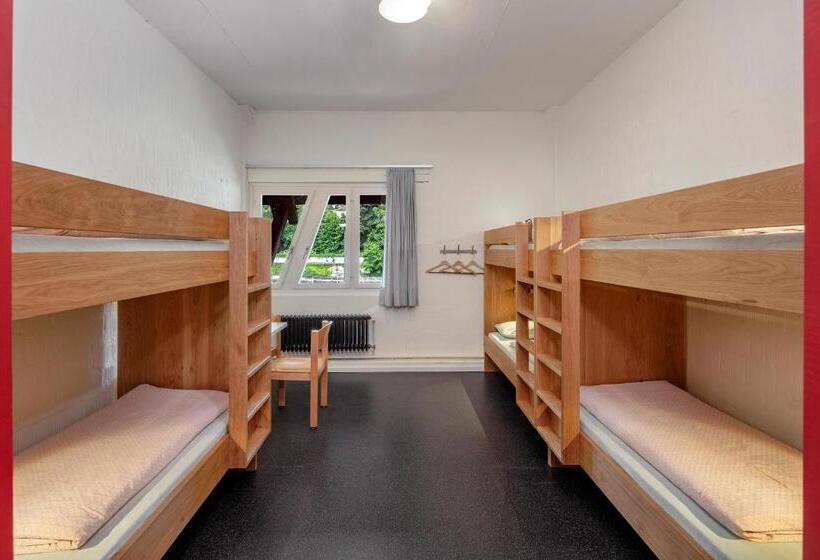 Номер Стандарт Совместная Ванная, Baden Youth Hostel