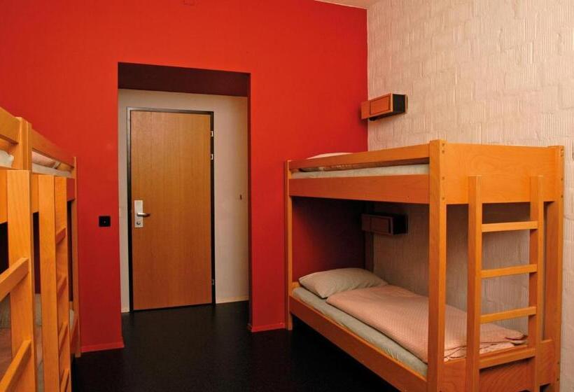 Кровать в Общей Комнате, Baden Youth Hostel