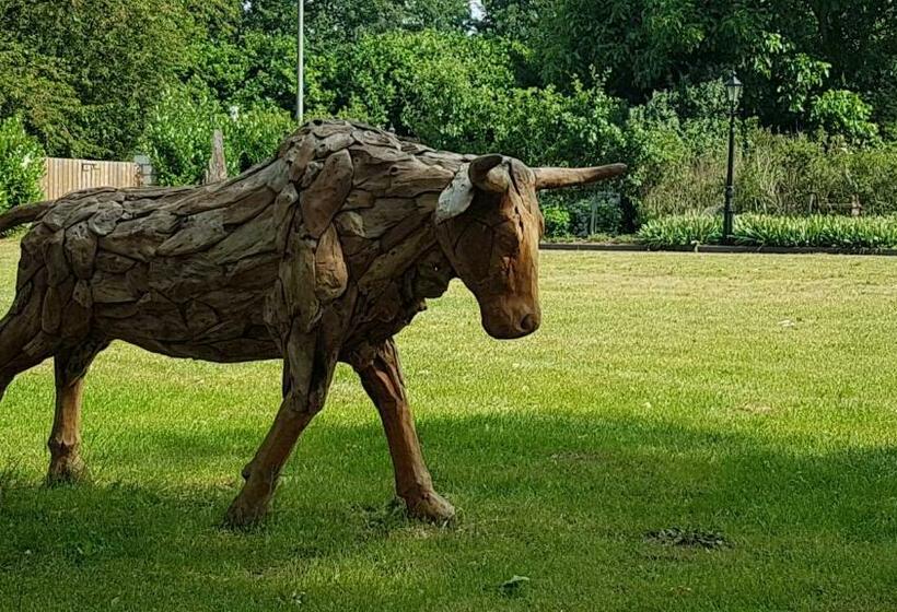 חדר סופריור עם מיטת קינג, B&b Johannes Hoeve