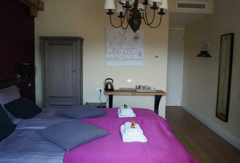 חדר סופריור עם מיטת קינג, B&b Johannes Hoeve