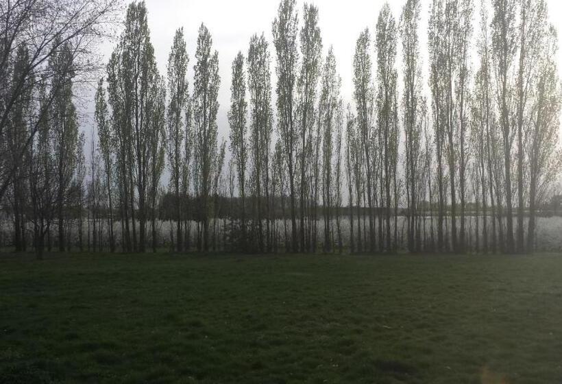 חדר סטנדרט עם מיטת קינג, B&b Johannes Hoeve