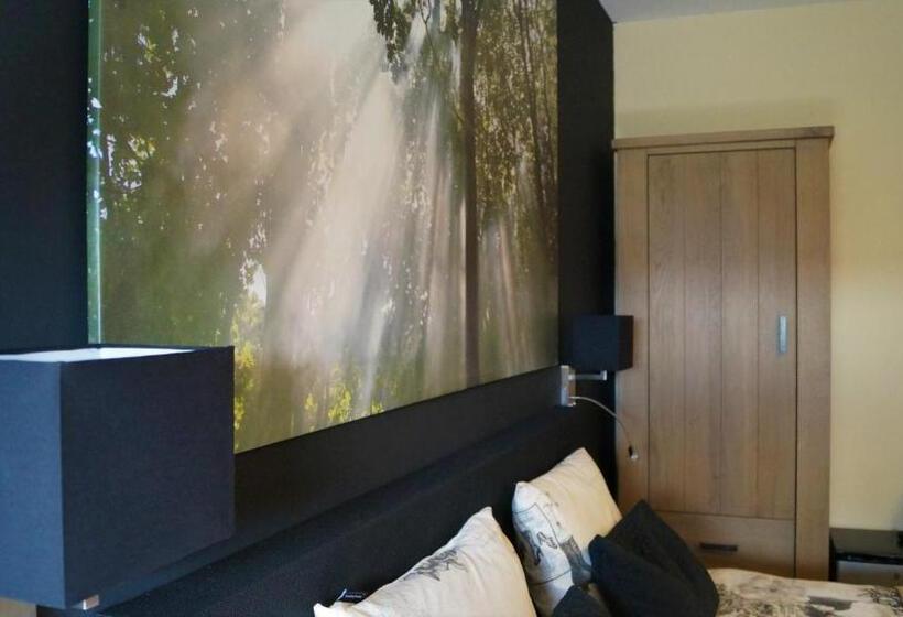 חדר סטנדרט עם מיטת קינג, B&b Johannes Hoeve