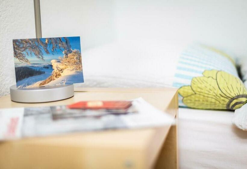 バスルーム共有のシングルスタンダード, Mybednbreakfast In Bottmingen