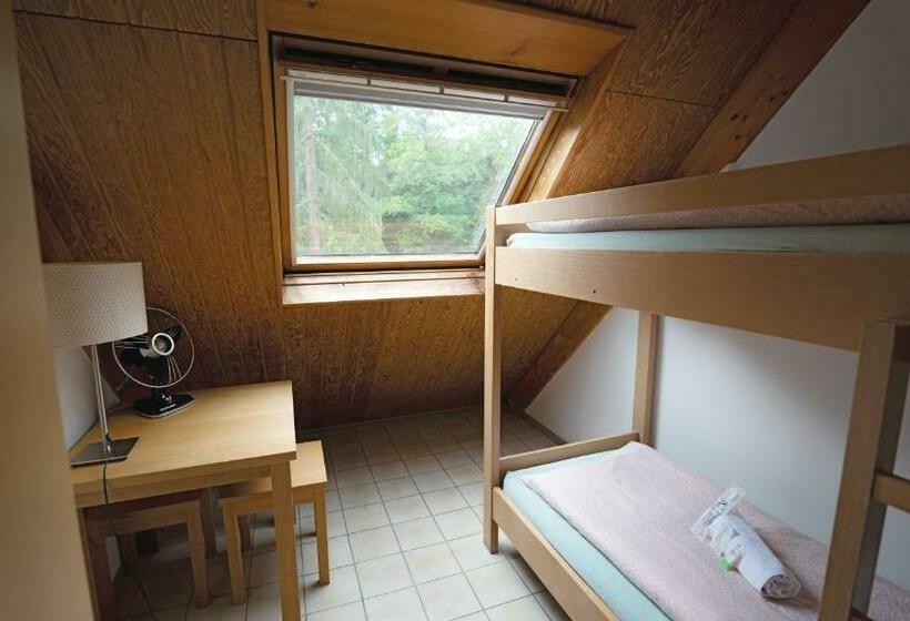 Номер Стандарт Совместная Ванная, Delémont Youth Hostel