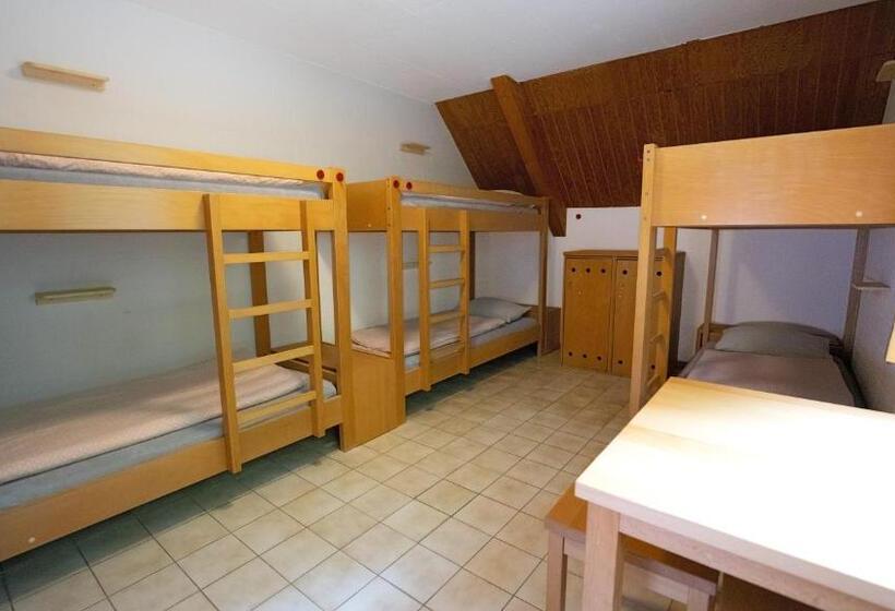 Номер Стандарт Совместная Ванная, Delémont Youth Hostel
