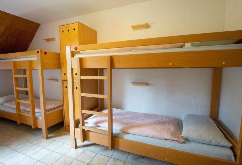 Кровать в Общей Комнате, Delémont Youth Hostel
