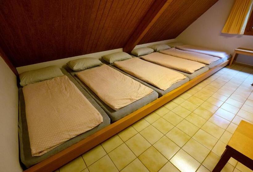 Кровать в Общей Комнате, Delémont Youth Hostel