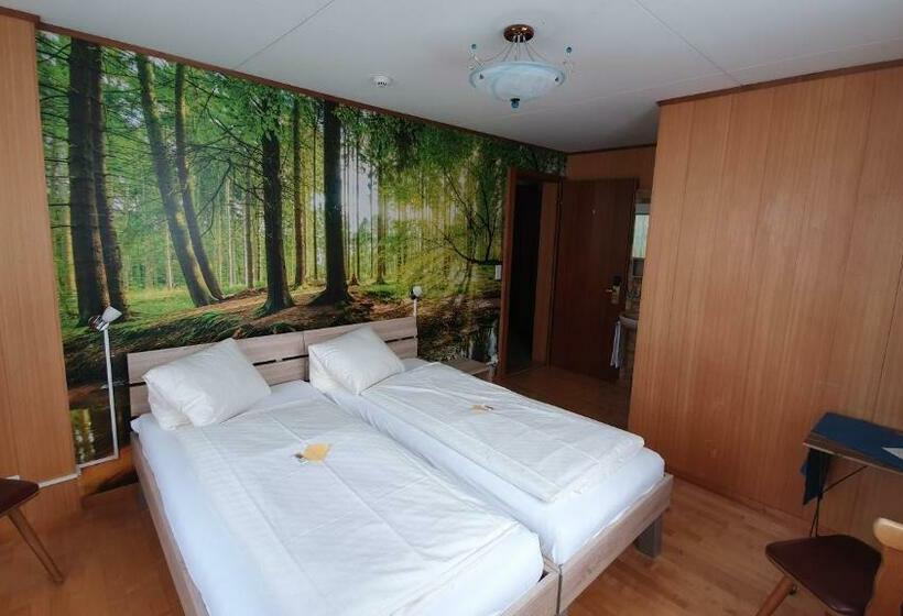 标准间, Gasthof Hirschen In Wilderswil