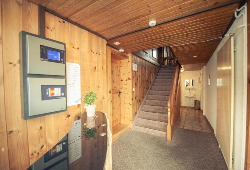 Номер Стандарт Индивидуальный Совместная Ванная, Gasthof Hirschen In Wilderswil