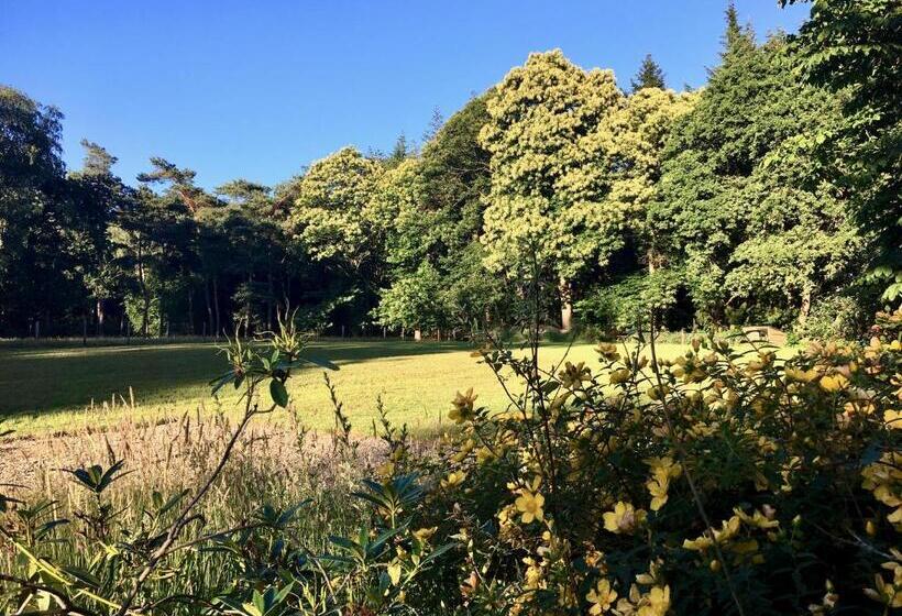 标准间带露台, B&b En Boshuis Darthuizerpoort