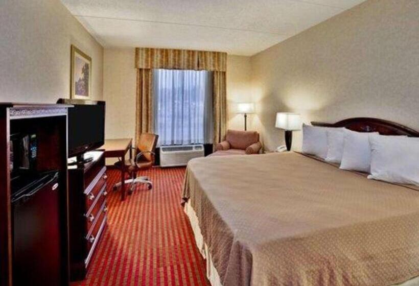 장애인을 위한 킹사이즈 침대 스탠다드 룸, Quality Inn & Suites