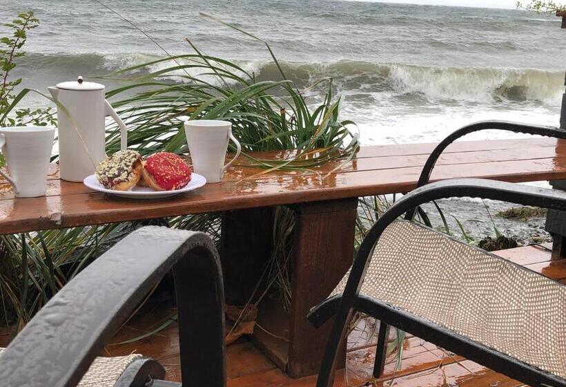 带海景的标准房, Qualicum Breeze Beach Resort