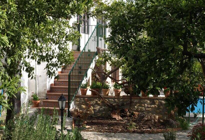 Апартаменты 1 Спальня, La Despensa Del Valle