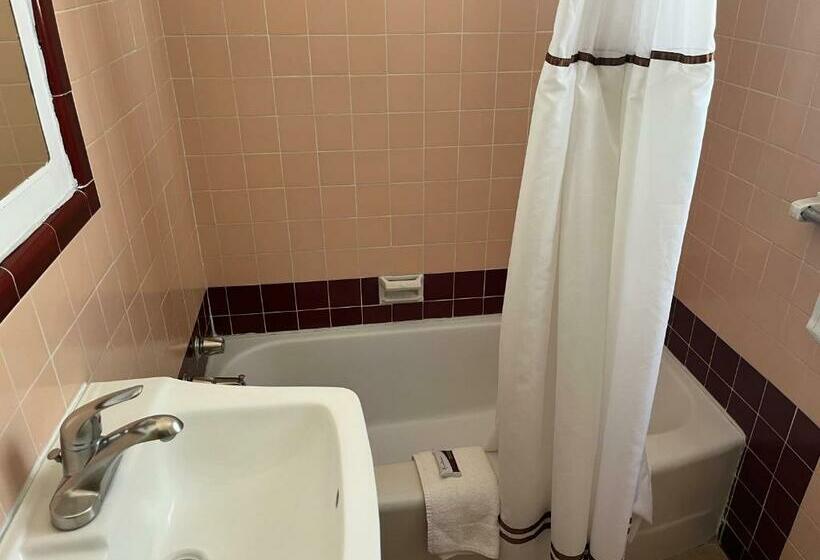 اتاق استاندارد یک نفره, Holiday Motel