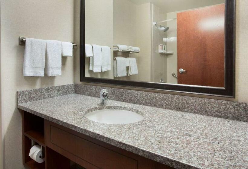 מיטת קינג בסוויטה, Drury Plaza Hotel Mt Vernon