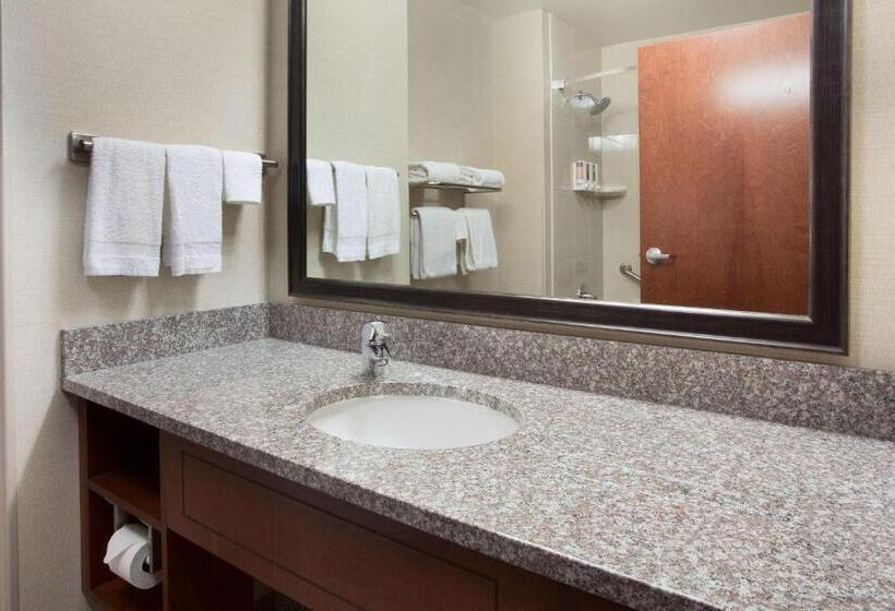 סוויטה דלוקס, Drury Plaza Hotel Mt Vernon