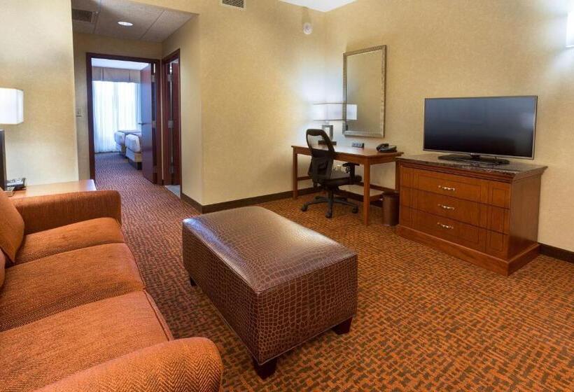 חדר סטנדרט, Drury Plaza Hotel Mt Vernon