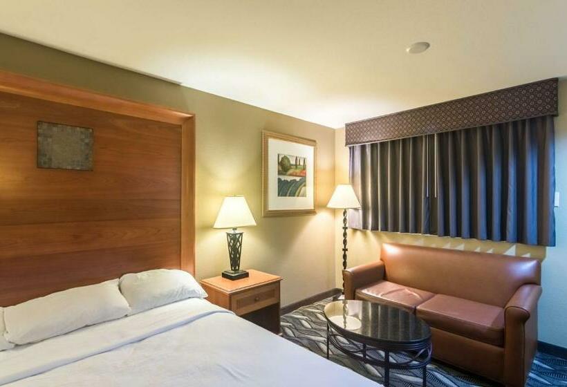 Номер Deluxe Кровать Кинг, Motel 6 snyder, Tx
