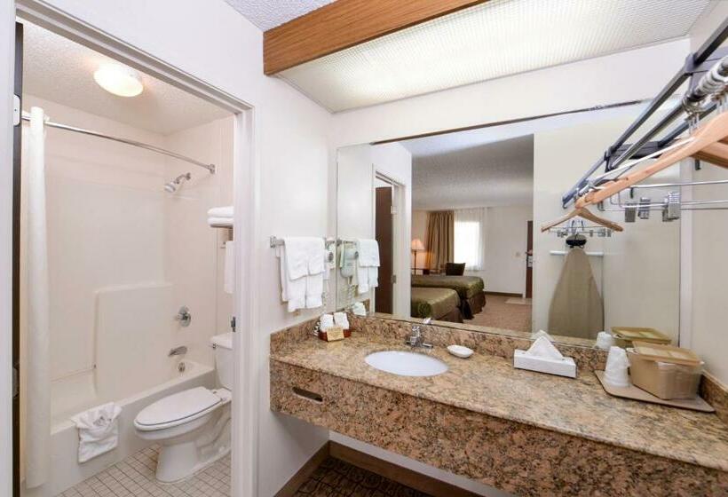 Номер Стандарт, Briarwood Inn Of Geneva