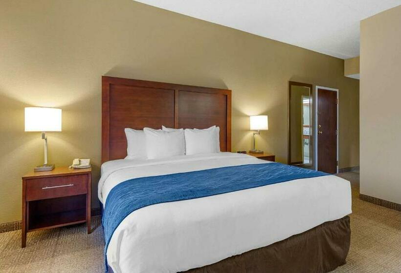 带大床的标准间, Comfort Inn Aikens Center