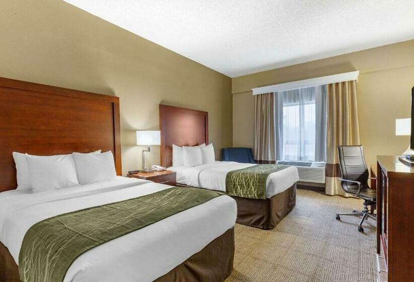 带2个双人床的标准工作室, Comfort Inn Aikens Center