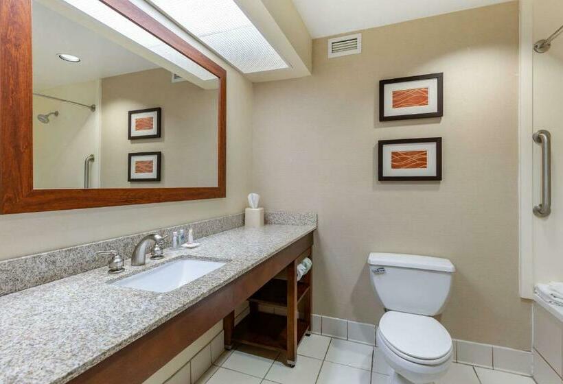 带大床的标准间, Comfort Inn Aikens Center