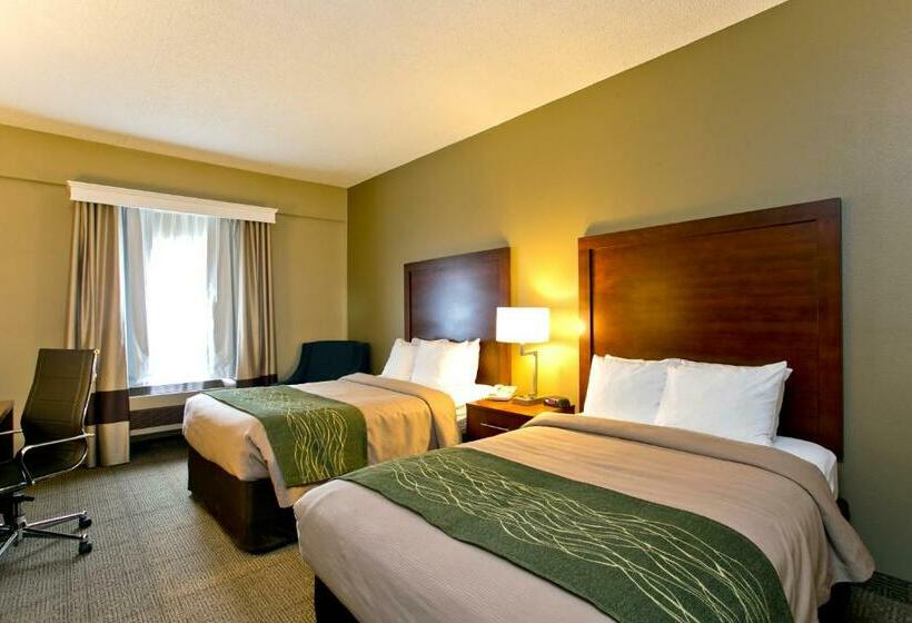 套房, Comfort Inn Aikens Center