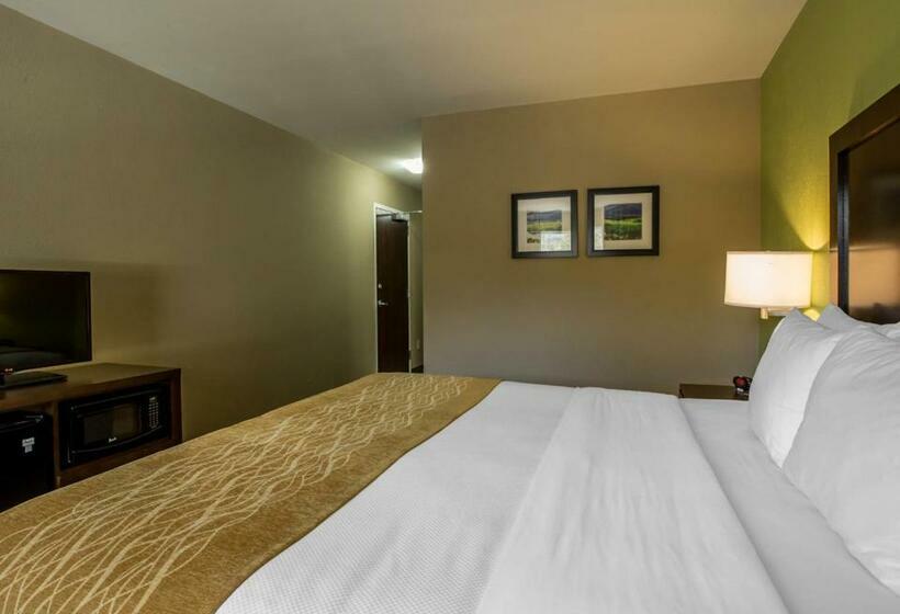 스탠다드 룸 킹사이즈 침대, Comfort Inn Sylva   Cullowhee