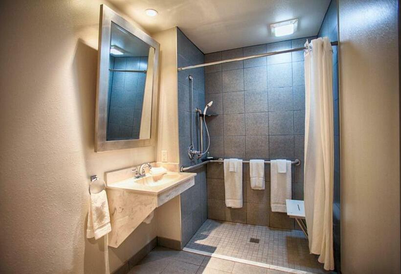 Люкс Адаптированный для Инвалидов, Z Loft Extended Stay