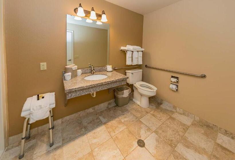 חדר סטנדרט מותאם לאדם עם מוגבלויות, Mill Village Motel
