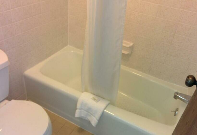 带大床的标准间, Economy Inn Toledo Perrysburg