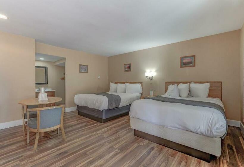 스탠다드 룸, Shasta Pines Motel & Suites
