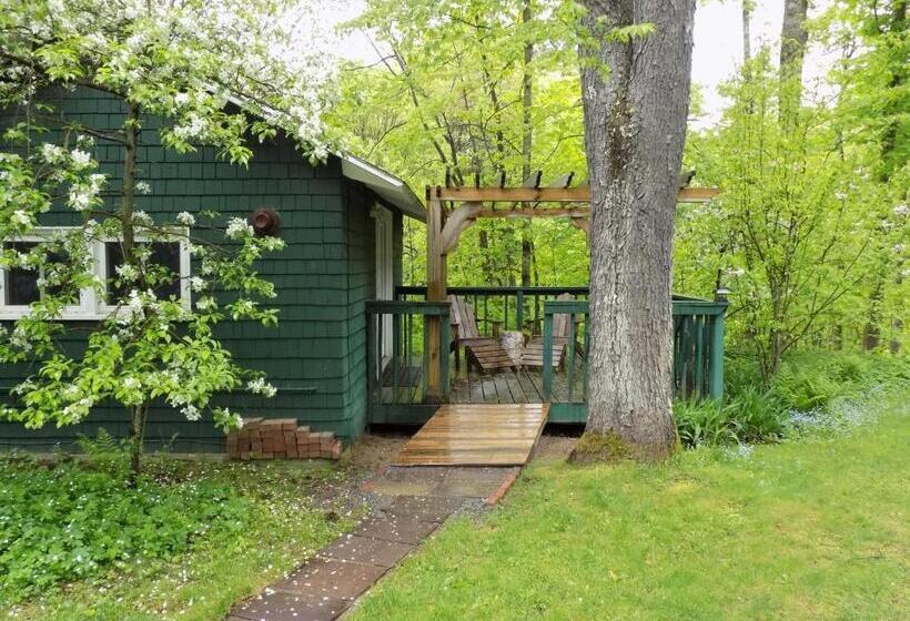 Бунгало Стандарт, Wilderness Inn Bed And Breakfast