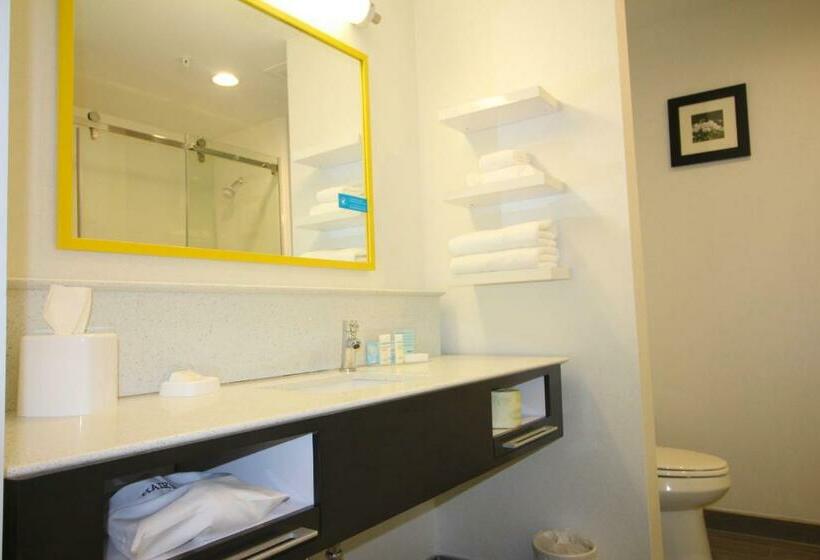 Стандартный Номер Кровать Кинг, Hampton Inn West Plains