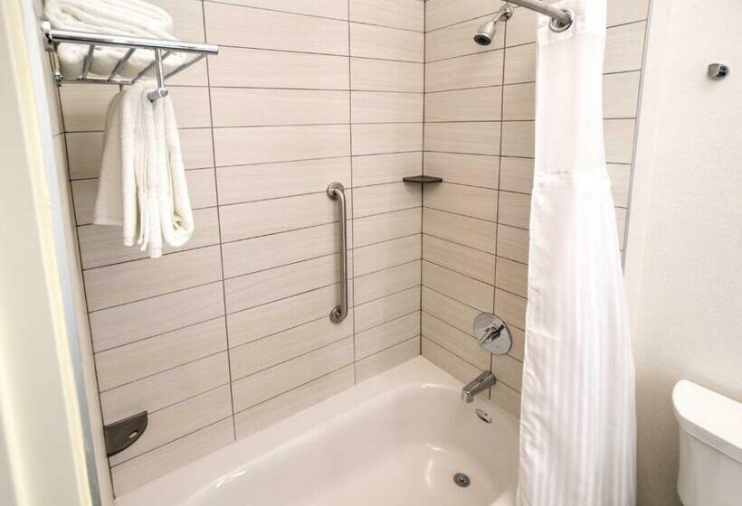 اتاق استاندارد با تخت بزرگ, Hilton Garden Inn Santa Barbara/goleta