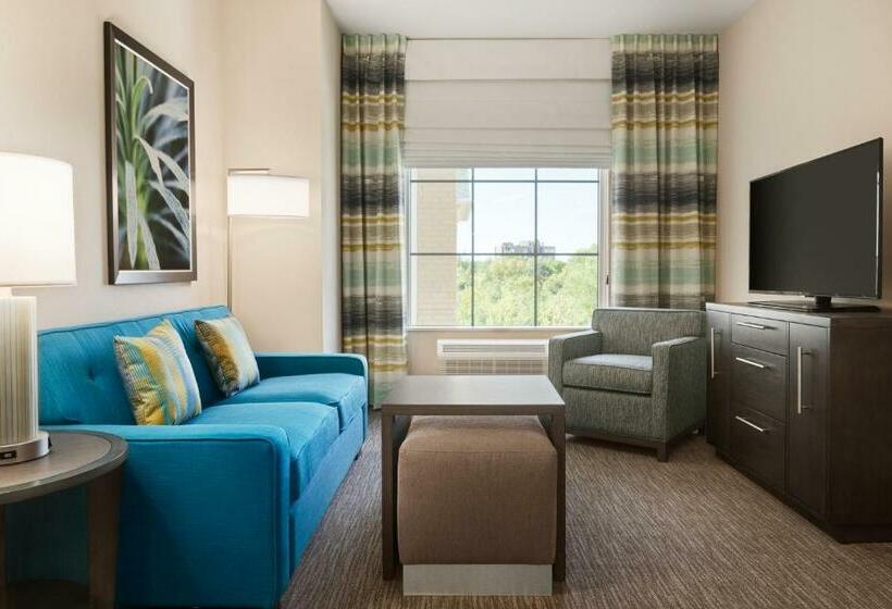 带大床的套房, Homewood Suites By Hilton Charlotte/southpark
