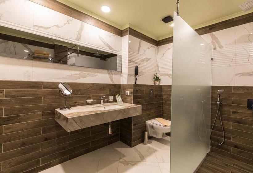 Номер Deluxe, Diplomat Plaza Hotel & Resort