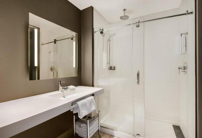 Номер Стандарт Вид на Горы, Ac Hotel Asheville Downtown