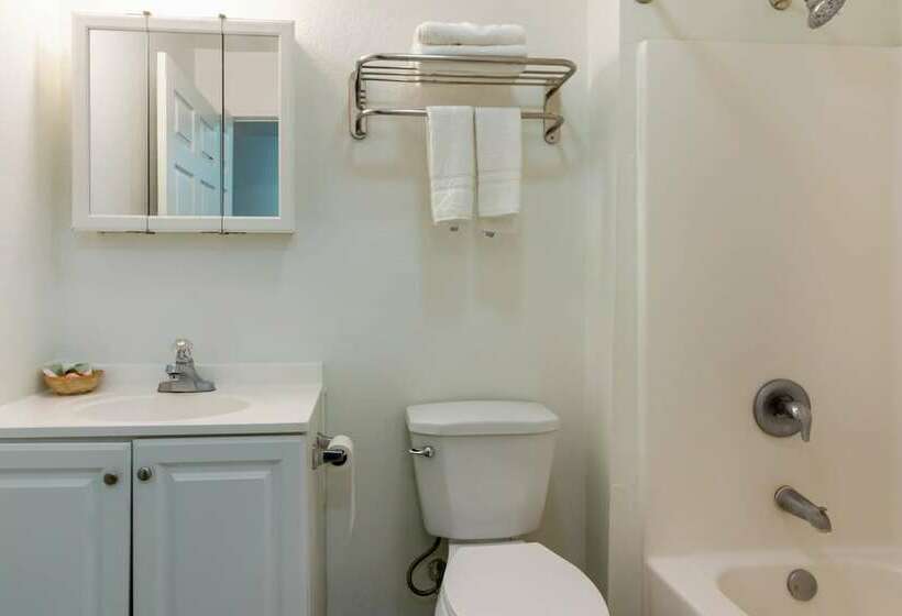Номер Премиум, OYO Hotel Pearsall I-35 East