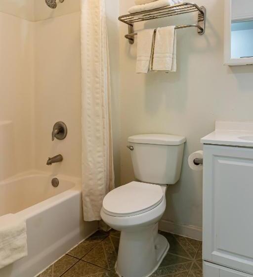 장애인을 위한 스탠다드 싱글 룸, OYO Hotel Pearsall I-35 East