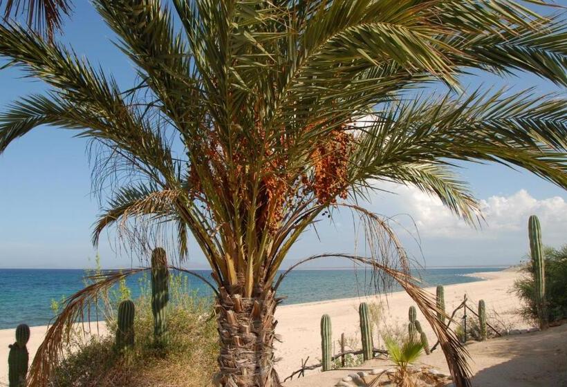 بنجلو قياسى مطل على البحر, Ventana Bay Resort