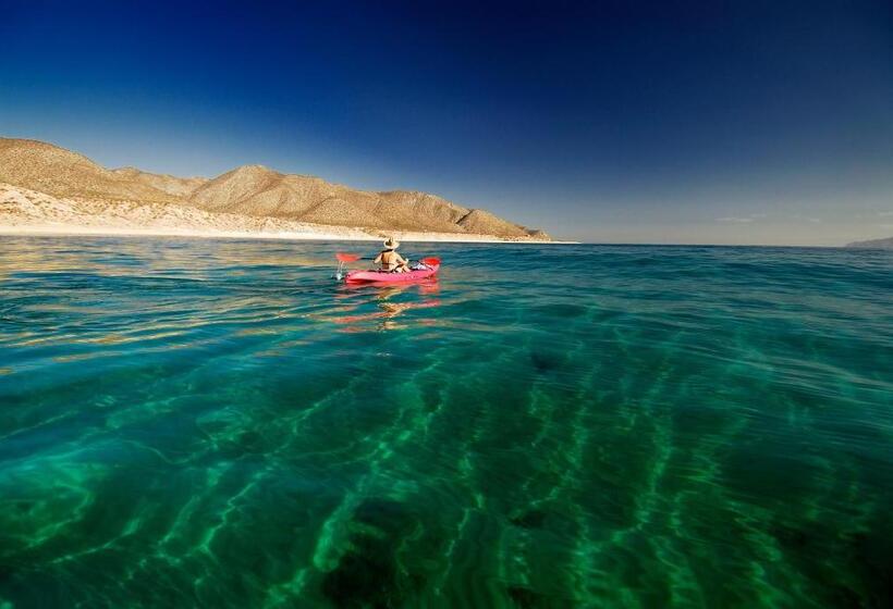 بنغل سوبيريور مطل على البحر, Ventana Bay Resort