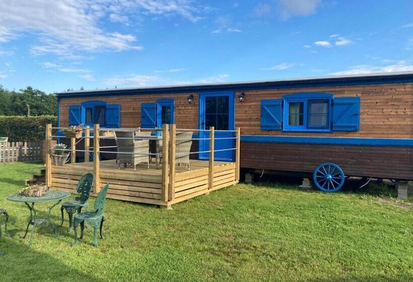 Номер Стандарт Вид на Сад, Puck B&b Babbita