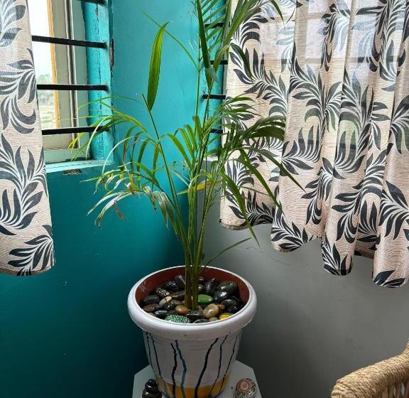 Номер Deluxe с Балконом, Cocogreen Hampi
